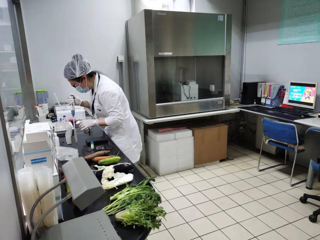 东兴食品检测实验室装修方案